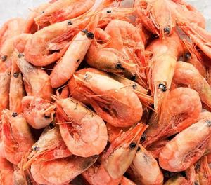Camarones Frescos Congelados de Agua Fría, Mariscos Premium Enteros para Distribución Mayorista e Industria de Servicios Alimentarios - Product Image 6