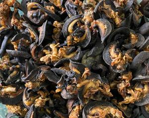 100% High Quality Edible Snails Dried Snails meat Giant African Land Snails meat for Sale Frozen Dried at Cheap Price per 1kg - Product Image 4