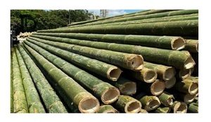 Split Half Cut Poteaux En Bambou Matériaux Naturels Prix Pas Cher En Gros Pour L'exportation De 99GD Viet Nam - Product Image 5
