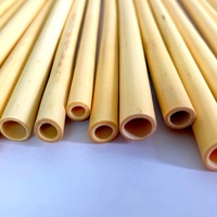 Pailles jetables multi-diamètres en fibre de bambou naturelle 100 % écologiques de haute qualité, 20 cm, pour boissons chaudes/froides, certifiées CE, pour l'extérieur