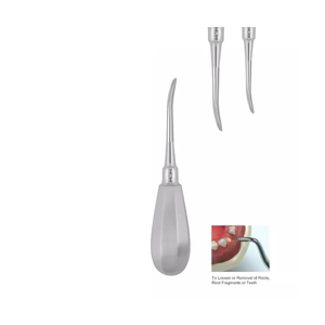 Dogmatic International Élévateurs dentaires manuels réutilisables en acier inoxydable pour extraction, Classe I DM1505 Bein Droit Rond 4.0mm - Product Image 1