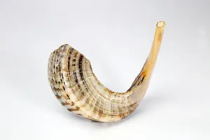 Cuerno de carnero de tamaño mediano Shofar Artesanías naturales Cuerno de búfalo Cuerno para beber Estilo animal pulido Decoración del hogar para Navidad - Product Image 2