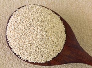 Tốt nhất bán chiết xuất nấm men 60% protein bột nấm men chiết xuất bột - Product Image 3