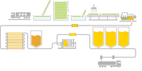 Industriële Elektrische Schroefsap Extractor/Vruchtensap Productielijn/Citroenappel Passievrucht Mango Verwerkingslijn