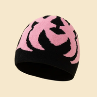 Topi Rajut Bordir Gambar Kustom Logo Akrilik Unisex Berkualitas Tinggi, Dapat Disesuaikan, Gaya Gambar, OEM/ODM, Cocok untuk Perjalanan, Laris Manis