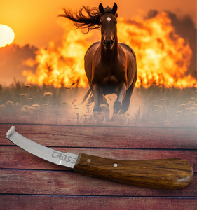 Herramientas de herrador Premium, cuchillo de pezuña de doble cara, trabajo fácil para ambos lados, hoja afilada clásica, mango de madera, acero inoxidable - Product Image 4