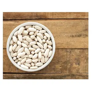 最优惠价格直接供应天然白芸豆埃及新作物白芸豆散装新鲜库存可供出口