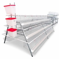 Cage à poules pondeuses de type A, galvanisée, automatique, à 3 ou 4 niveaux, pour ferme avicole moderne, design haut de gamme