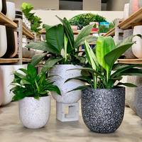 Maceta de cerámica de color blanco de Vietnam, precio barato, venta al por mayor, hecha en tamaño personalizado