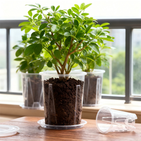 Pots à orchidées transparents épaissis en gros, 4-6,3 pouces, en plastique transparent, avec fentes, trou de drainage, doublure pour plantes, écologique