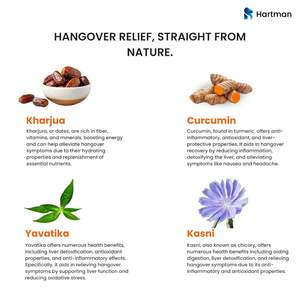 Tiras Orales para la Resaca con Cardo Mariano y Electrolitos para la Recuperación y la Hidratación - Product Image 3