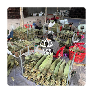 BEST PRICE NATURAL DRIED BAMBOO LEAVES VIETNAM WRAP <b>ROLL</b> DECORATION FROM <b>BLUE</b> LOTUS MS AMELIA +84855014447 - Product Image 1