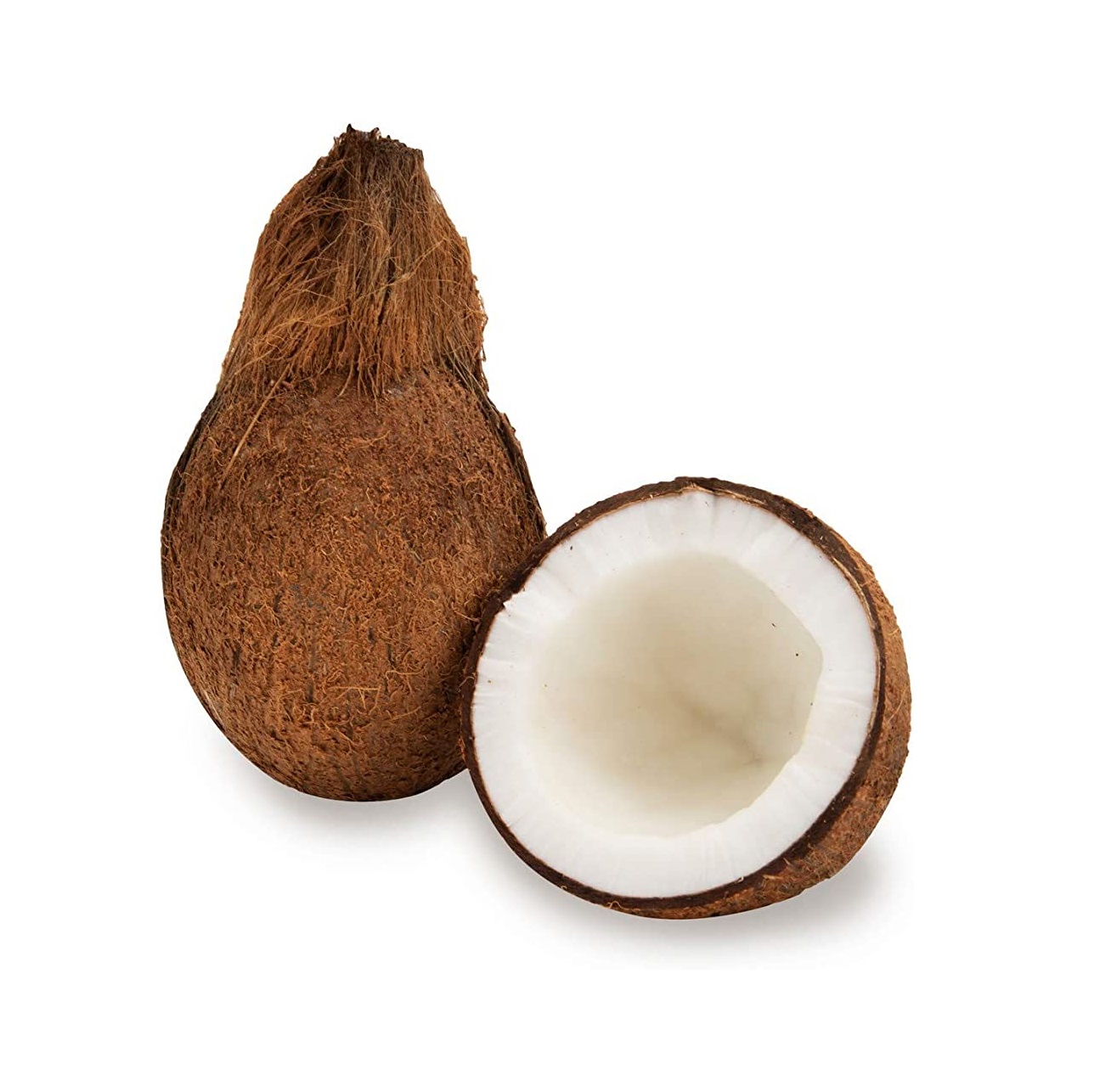 мякоть кокоса. белый кокос. кокос это фрукт. кокос на дереве. молодой кокос.