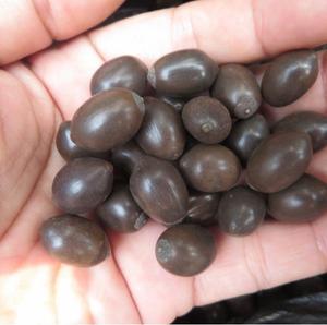 Chất lượng hàng đầu đen hạt sen trong số lượng lớn hoàn hảo cho xuất khẩu và bán buôn lý tưởng cho nấu ăn lành mạnh ăn vặt và dinh dưỡng benefi - Product Image 6