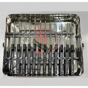 Ensemble de 14 curettes cervicales Codman Microdiscectomy Karlin personnalisées, nouvelle arrivée, plateau de kit neurologique - Product Image 2