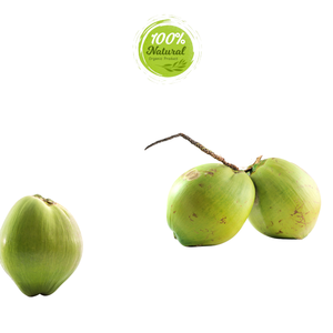 Le goût ultime de la noix de coco fraîche du Vietnam - Product Image 1