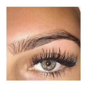 Cils préfabriqués 6D Camelia couleur marron cils naturels accessoires de beauté cils modernes fabricant du Vietnam - Product Image 6