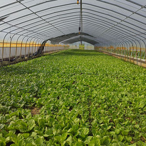 China Large Double Layer 20-200m Customizable Single-Span PE Plastic Film Tunnel <b>Greenhouse</b> for <b>Tomato</b> Farming - Product Image 4