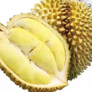 Durian frais séché biologique du Vietnam - Marque Hazel VIETDELTA, qualité A, tailles personnalisables, prêt à consommer, durée de conservation de 24 mois - Product Image 6