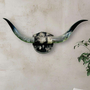 Decoración de Pared de Cuerno de Búfalo Natural, Par de Lámparas de Sal Decorativas Montadas en Cuerno, Venta Caliente por Tradebit - Product Image 3