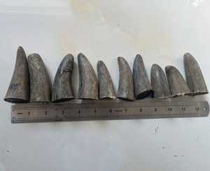 Embouts en corne de buffle personnalisés de haute qualité, écologiques, faits à la main, design moderne pour les décorations de fêtes et de mariages, vente en gros - Product Image 2