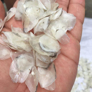 เกล็ดปลาแห้ง2023เกล็ดปลานิลจากเวียดนาม - Product Image 2