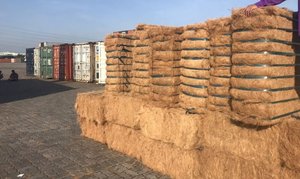 Exportation de matériau écologique en fibre de coco pour l'agriculture avec des prix bon marché du fabricant Eco2go Vietnam - Product Image 4