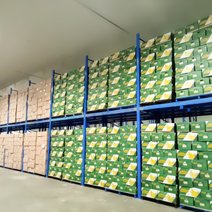 Yelllow Cavendis Cavendish Banana Premium Quality Naturally <b>Sweet</b> - Product Image 4