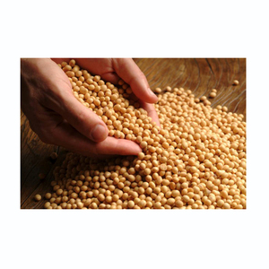 Good quality soya bean for White Hilum oil , <b>soybean</b> , <b>Soybean</b> Seeds with reasonable price in VietNam FREE TAX - Product Image 5