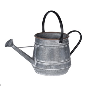 Bastones de riego de jardín de caña de agua de hierro galvanizado de diseñador plateado de la mejor calidad para balcón doméstico bastones de agua de 1 litro cantidad a granel - Product Image 5
