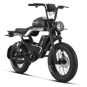 Vélo électrique HappyRun G100Pro de qualité industrielle, noir, le plus rapide, 6000W, double batterie, longue autonomie - Product Image 1
