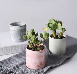POTS DE FLEURS - Product Image 1