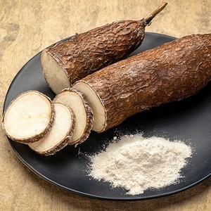 Almidón de Yuca en Polvo de Excelente Calidad al Precio Más Bajo, Tapioca Hecha en Vietnam, Grado Industrial y Alimentario - Product Image 5