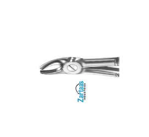 Fórceps de extracción de acero inoxidable de alta calidad raíces inferiores fig. 33 exportadores y fabricante - Product Image 4