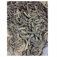 Pointes de corne de buffle polies sculptées à la main de qualité supérieure, toucher naturel, vente en gros, artisanat naturel, taille personnalisée, pour la maison