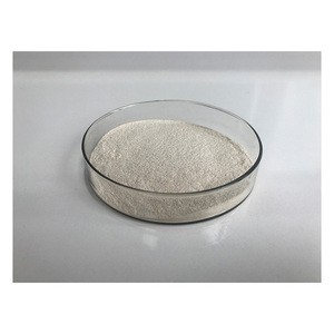 Enzima proteasa alcalina PARA LA hidrolisis de proteínas - Product Image 5