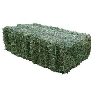 Cantidad a granel de heno de alfalfa para alimentación animal, heno de alfalfa al por mayor - Product Image 6