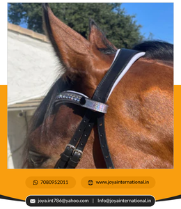 2022 Offre Spéciale Édition Limitée Snaffle Bridle Dressage Brides Meilleure Qualité En Gros Cheval Bride Multifonctionnel - Product Image 6