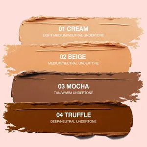 O.TWO.O New Arrival Concealer Highlight Contour Stick Highlighters For Enhanced Face Contouring