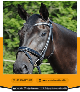 Ustom-Aro de protección para el arroz, 2022 - Product Image 3