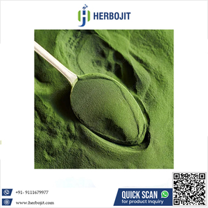 Poudre de feuille d'épinard naturelle de super qualité style séché dernière marque nouvelle qualité alimentaire la plus vendue à bas prix - Product Image 6