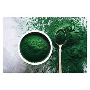 Poudre de spiruline séchée biologique de qualité alimentaire 25 KG en vrac Herbes et épices uniques Herbojit International Durée de conservation de 18 mois - Product Image 1