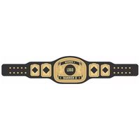 Ceinture de championnat de boxe, lutte et MMA personnalisable, fabrication en usine, poids lourd, acier inoxydable + cuir, unisexe