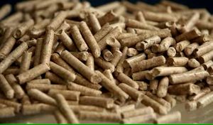 Bâtons de bois tendres pour combustible biomasse, diamètre 6-8 mm, longueur 10-20 mm, haute densité 600-750 kg/m³ pour le chauffage des chaudières industrielles - Product Image 5