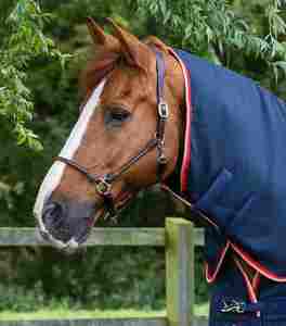 Mantas para Caballos Impermeables y Transpirables, Mantas de Equitación Duraderas de Primera Calidad, Suministro Directo de Fábrica - Product Image 2