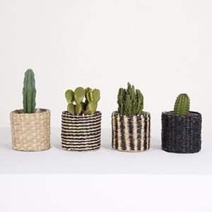 Handmade Mini Planter <b>Baskets</b> Seagrass Colorful Planters Best Selling Garden Decor Supplies - Product Image 3