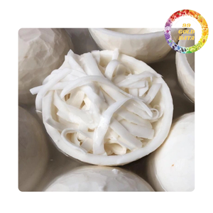 Viande de noix de coco congelée | Prêt pour smoothies et dessert | Origine vietnamienne - Product Image 6