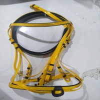 Bridon de course imperméable en PVC pour chevaux, résistant à l'humidité, avec des attaches métalliques antirouille et durables, conçu pour diverses équitations.