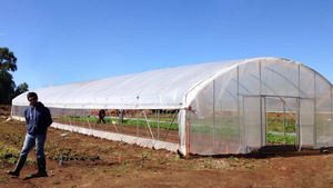 Kits de serres agricoles commerciales à simple travée et double couche en PE avec <span class=keywords><strong>tunnel</strong></span> en film <span class=keywords><strong>plastique</strong></span> <span class=keywords><strong>pour</strong></span> la culture de légumes et de fraises - Product Image 4