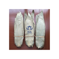 Feuille de bambou séchée au Vietnam, prix compétitif de Lotus bleu, haute qualité